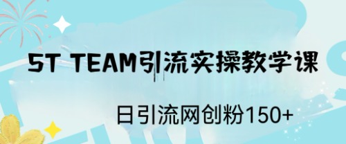 ST TEAM引流实操课，日引流网创粉100+-纵横项目网