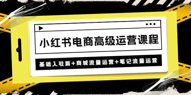 小红书电商高级运营课程：基础入驻篇+商城流量运营+笔记流量运营-纵横项目网