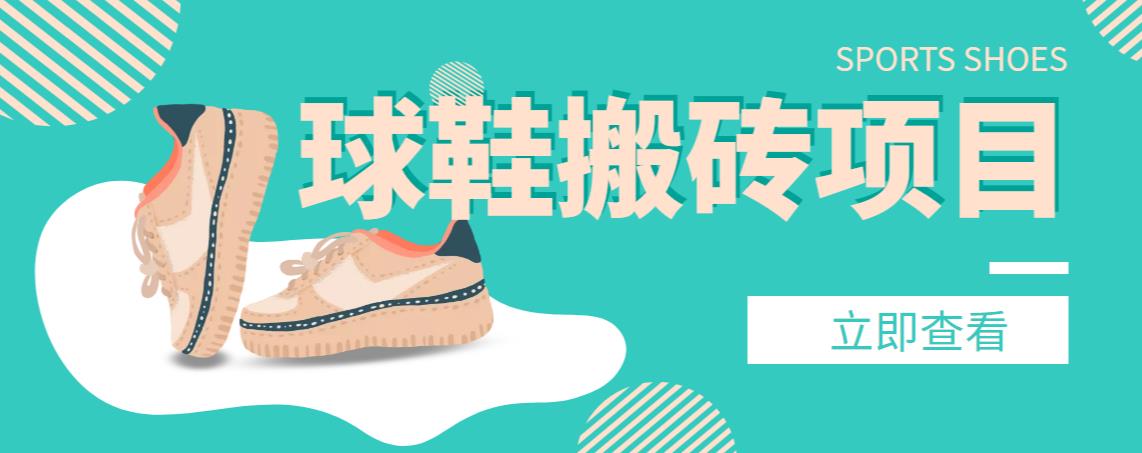 【搬砖必备】外面收费998的球鞋搬砖项目，月入轻松5000+的项目案例解析-纵横项目网