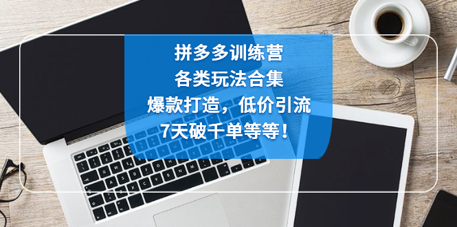拼多多训练营：各玩法合集，爆款打造，低价引流，7天破千单等等！-纵横项目网