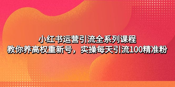 小红书运营引流全系列课程：教你养高权重新号，实操每天引流100精准粉-纵横项目网