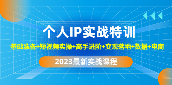 2023个人IP实战特训：基础准备+短视频实操+高手进阶+变现落地+数据+电商-纵横项目网