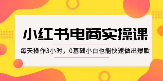 小红书·电商实操课：每天操作3小时，0基础小白也能快速做出爆款！-纵横项目网