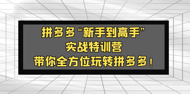 拼多多“新手到高手”实战特训营：带你全方位玩转拼多多！-纵横项目网