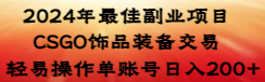 2024年最佳副业项目 CSGO饰品装备交易 轻易操作单账号日入200+-纵横项目网