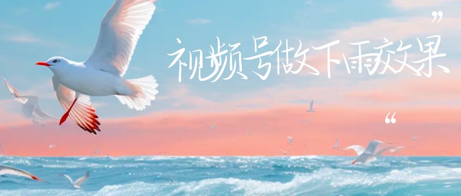 视频号做下雨视频一个账号一周涨粉10W+年入100w-纵横项目网