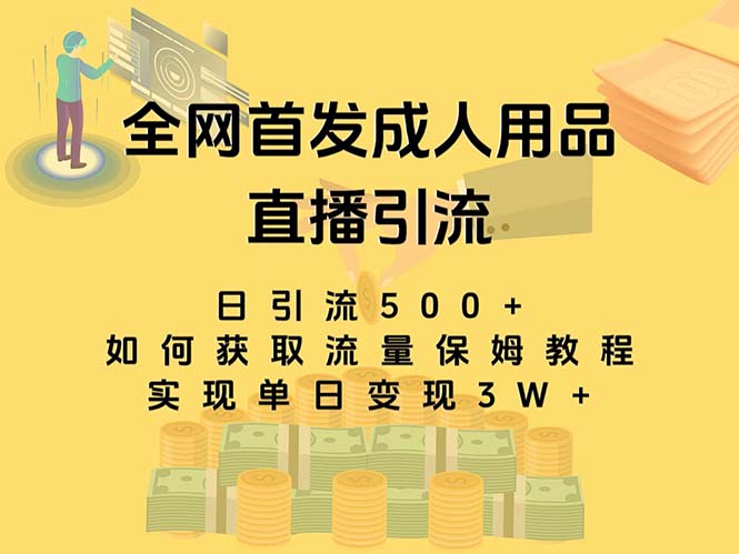 最新全网独创首发，成人用品直播引流获客暴力玩法，单日变现3w保姆级教程-纵横项目网
