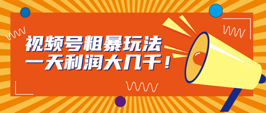 视频号粗暴玩法，一天利润大几千！-纵横项目网
