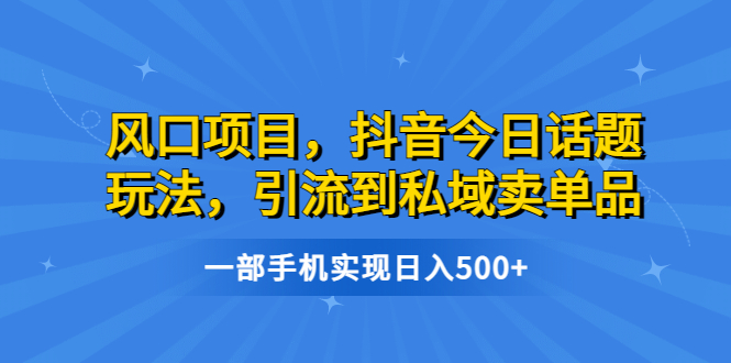 风口项目，抖音今日话题玩法，引流到私域卖单品，一部手机实现日入500+-纵横项目网