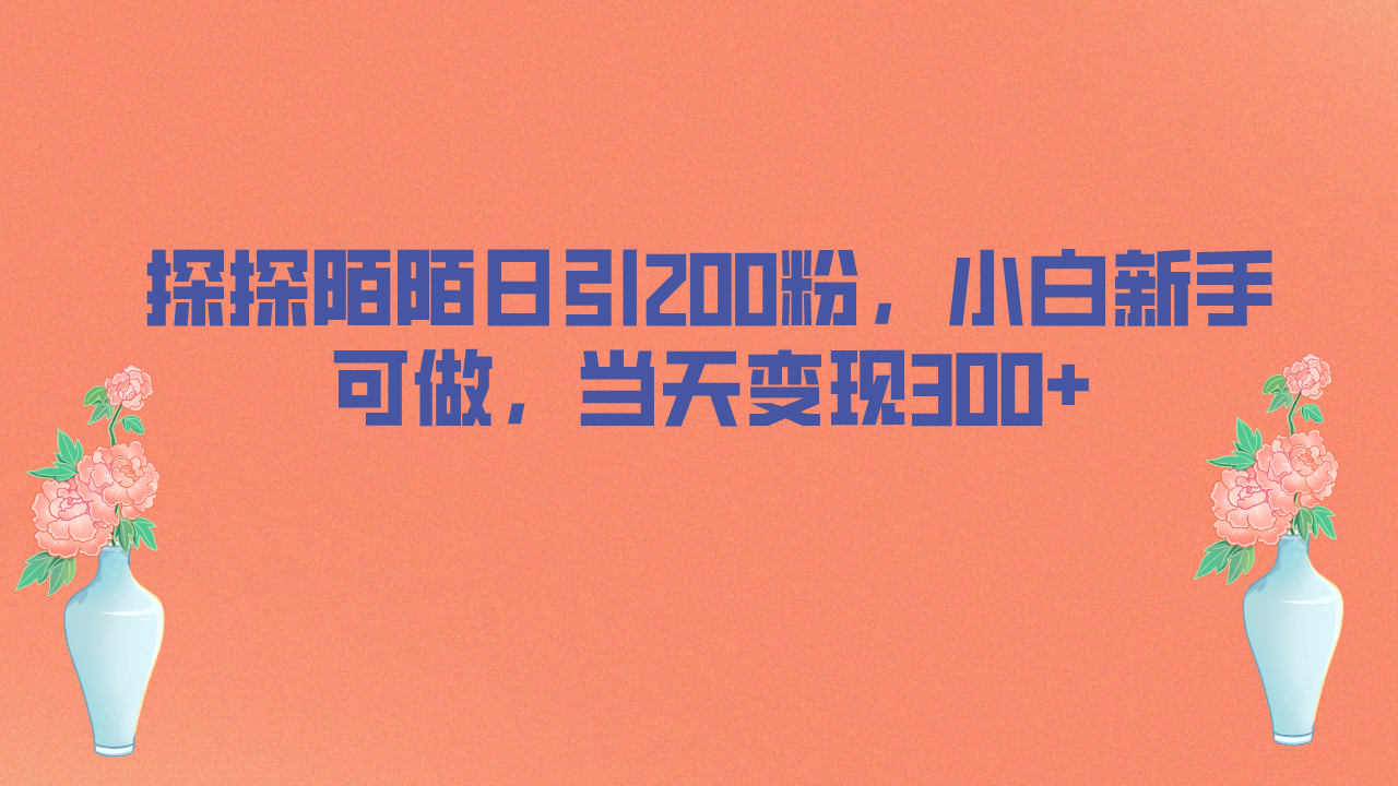 探探陌陌日引200粉，小白新手可做，当天就能变现300+-纵横项目网