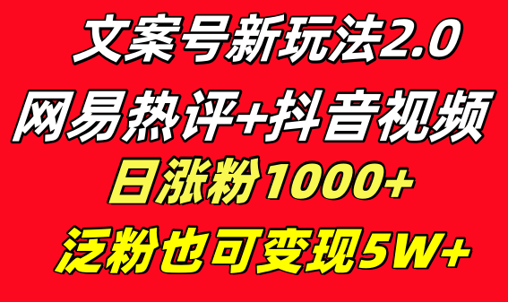 文案号新玩法 网易热评+抖音文案 一天涨粉1000+ 多种变现模式 泛粉也可变现-纵横项目网