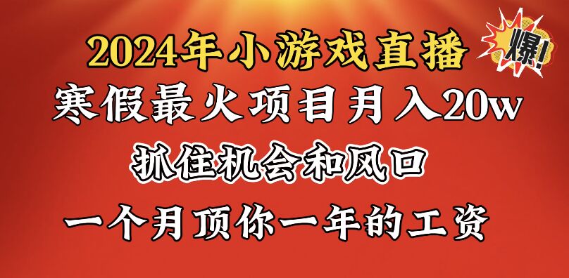 2024年寒假爆火项目,小游戏直播月入20w+,学会了之后你将翻身-纵横项目网