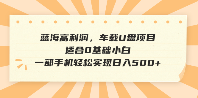 蓝海高利润，车载U盘项目，适合0基础小白，一部手机轻松实现日入500+-纵横项目网