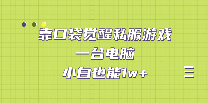 靠口袋觉醒私服游戏，一台电脑，小白也能1w+（教程+工具+资料）-纵横项目网