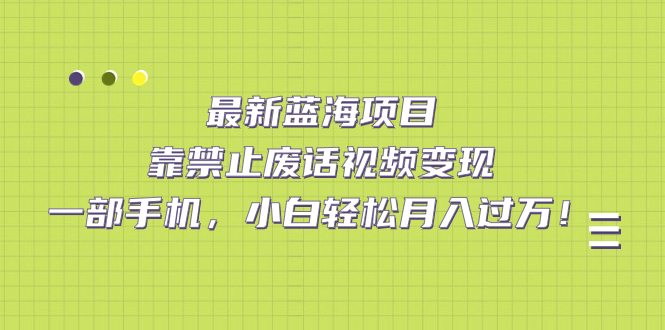 最新蓝海项目，靠禁止废话视频变现，一部手机，小白轻松月入过万！-纵横项目网