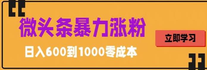 微头条暴力涨粉技巧搬运文案就能涨几万粉丝，简单0成本，日赚600-纵横项目网