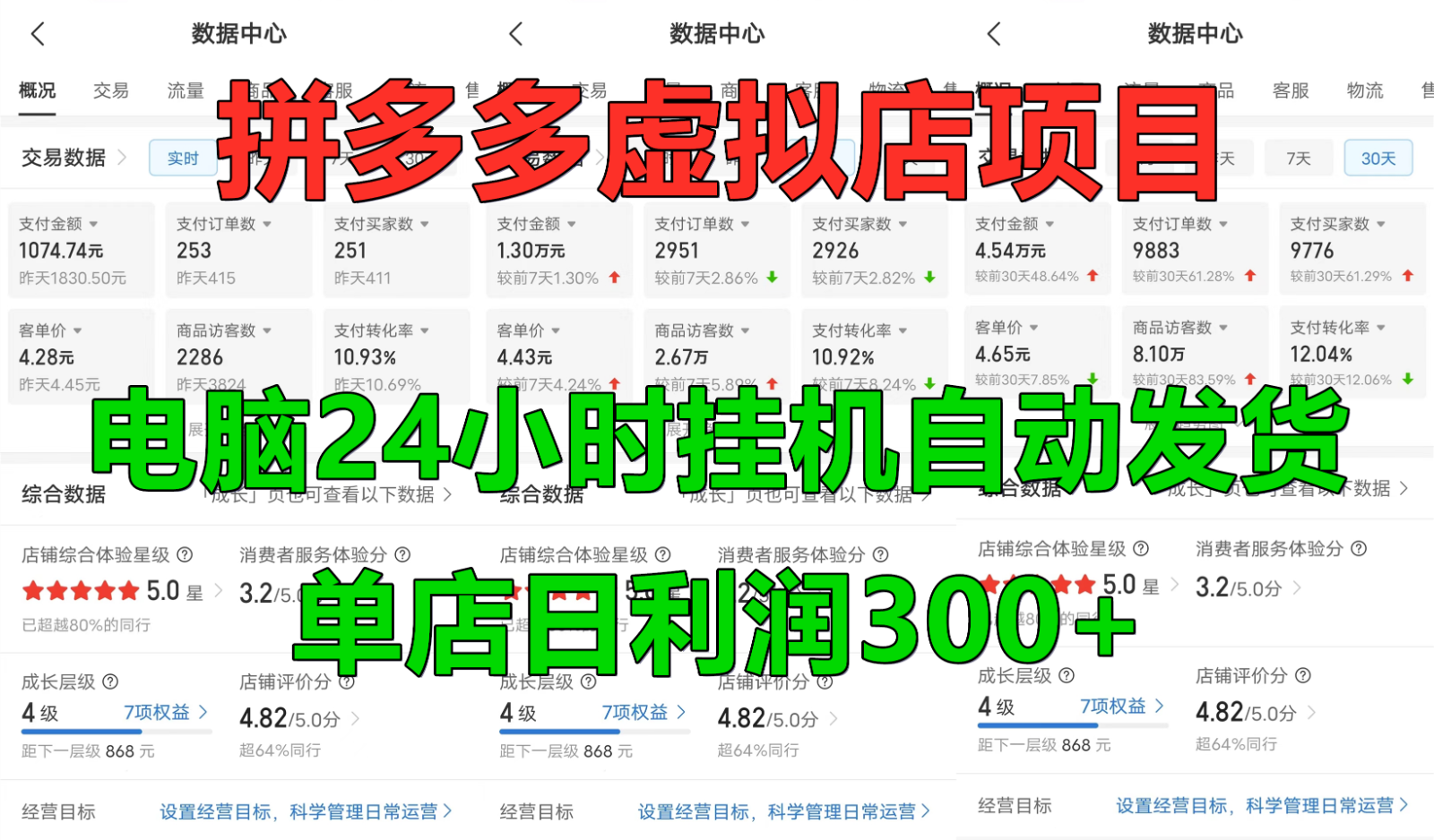 拼多多虚拟店铺项目，电脑挂机自动发货，单店日利润300+-纵横项目网