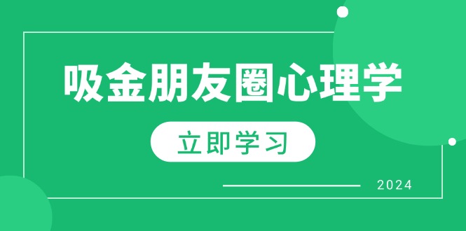 朋友圈吸金心理学：揭秘心理学原理，增加业绩，打造个人IP与行业权威-纵横项目网