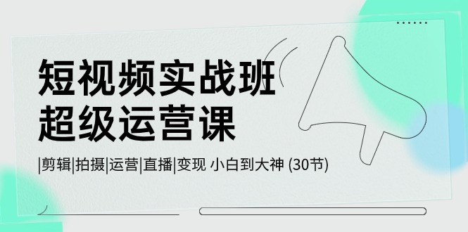短视频实战班超级运营课 |剪辑|拍摄|运营|直播|变现 小白到大神 (30节)-纵横项目网