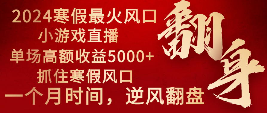 2024年最火寒假风口项目 小游戏直播 单场收益5000+抓住风口 一个月直接提车-纵横项目网