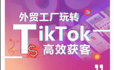 外贸工厂玩转TikTok高效获客，多种引流方式与账号定位技巧，拆解爆款短视频打造成功案例-纵横项目网