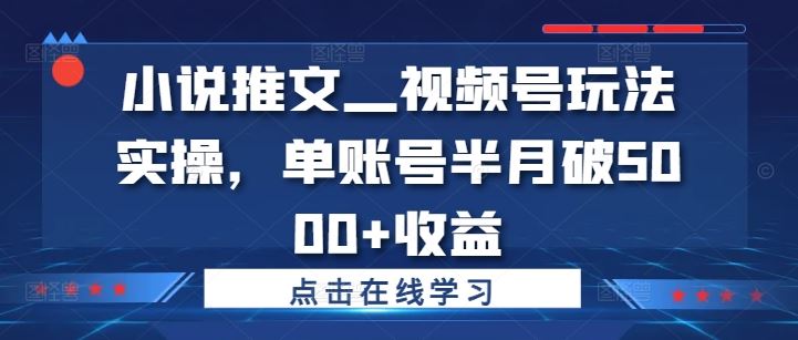 小说推文—视频号玩法实操，单账号半月破5000+收益-纵横项目网