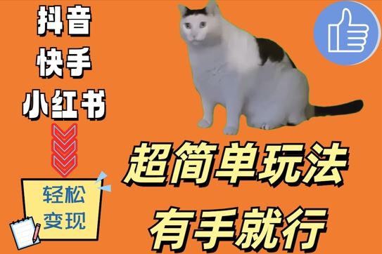 超简单玩法，有手就行，靠猫咪视频日入500+【揭秘】-纵横项目网