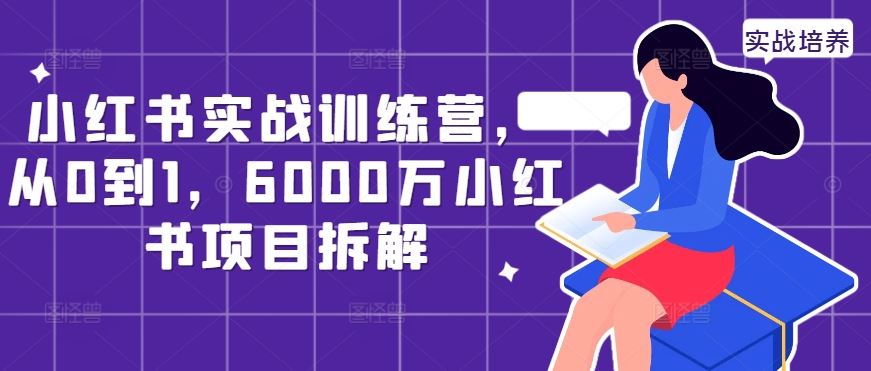 小红书实战训练营，从0到1，6000万小红书项目拆解-纵横项目网