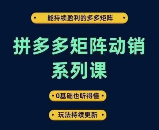 拼多多矩阵动销系列课，能持续盈利的多多矩阵，0基础也听得懂，玩法持续更新-纵横项目网