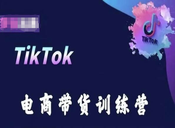 TikTok电商带货训练营，跟随时代潮流，跨境掘金-纵横项目网