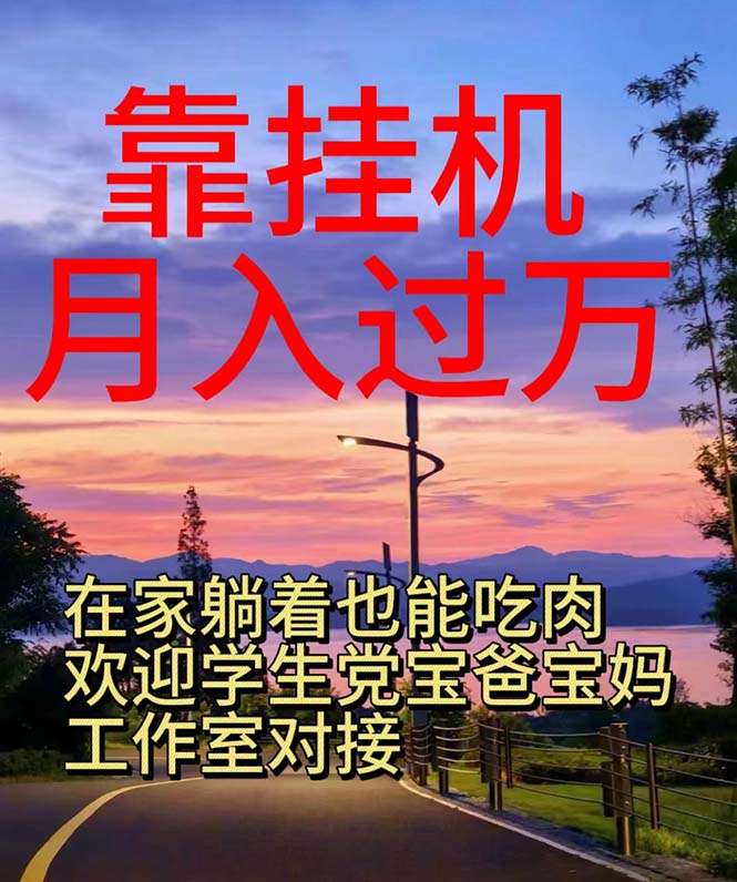 （10838期）靠挂机，日入1000+，躺着也能吃肉，适合宝爸宝妈学生党工作室，电脑手…-纵横项目网
