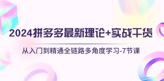 （10816期）2024拼多多 最新理论+实战干货，从入门到精通全链路多角度学习-7节课-纵横项目网