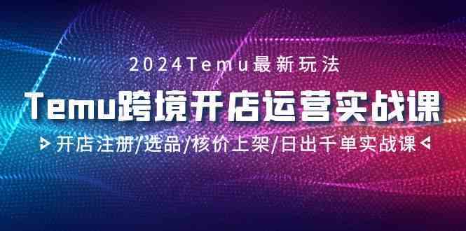 2024Temu跨境开店运营实战课，开店注册/选品/核价上架/日出千单实战课-纵横项目网