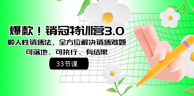 爆款！销冠特训营3.0之顺人性销售法，全方位解决销售难题、可落地-纵横项目网