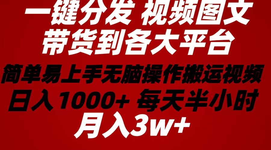 （10667期）2024年 一键分发带货图文视频  简单易上手 无脑赚收益 每天半小时日入1…-纵横项目网