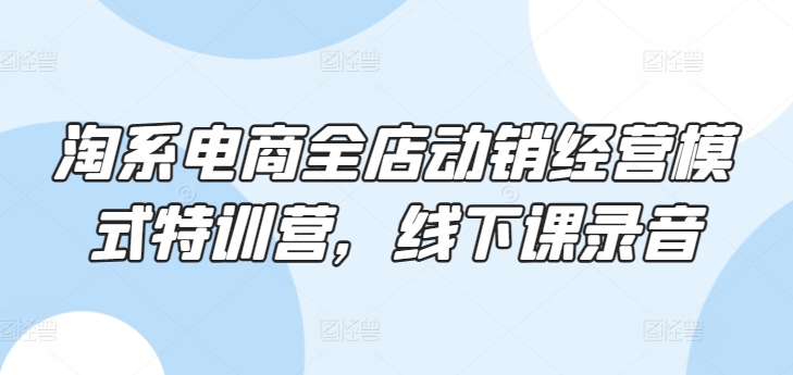 淘系电商全店动销经营模式特训营，线下课录音-纵横项目网