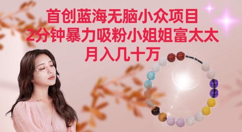 首创蓝海无脑小众项目，2分钟暴力吸粉小姐姐富太太，月入几十万-纵横项目网