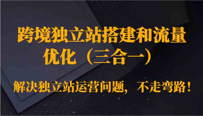 跨境独立站搭建和流量优化（三合一）解决独立站运营问题，不走弯路！-纵横项目网