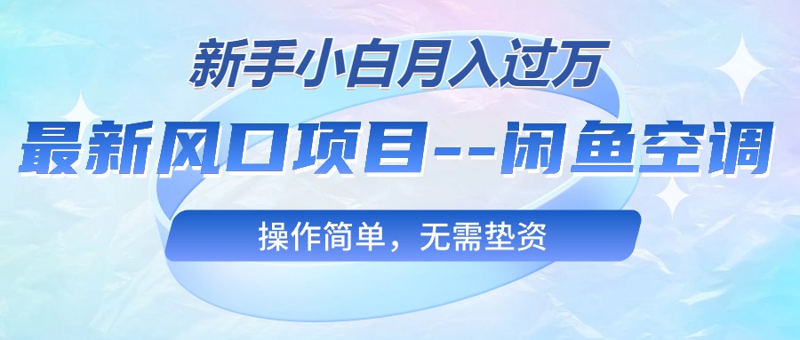 （10767期）最新风口项目—闲鱼空调，新手小白月入过万，操作简单，无需垫资-纵横项目网