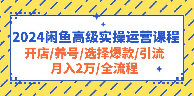 （10711期）2024闲鱼高级实操运营课程：开店/养号/选择爆款/引流/月入2万/全流程-纵横项目网