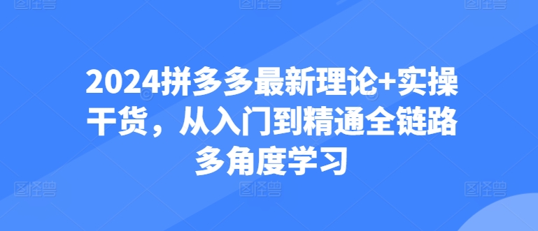 2024拼多多最新理论+实操干货，从入门到精通全链路多角度学习-纵横项目网