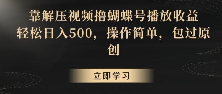 靠解压视频撸蝴蝶号播放收益，轻松日入500，操作简单，包过原创【揭秘】-纵横项目网