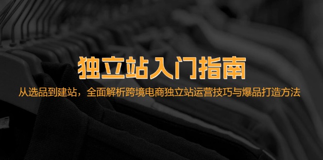 （12882期）独立站入门指南：从选品到建站，全面解析跨境电商独立站运营技巧与爆品…-纵横项目网