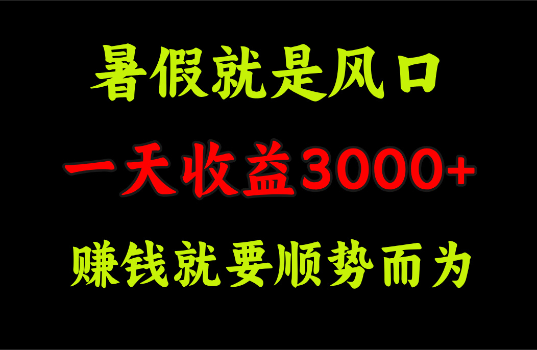 一天收益3000+ 赚钱就是顺势而为，暑假就是风口-纵横项目网