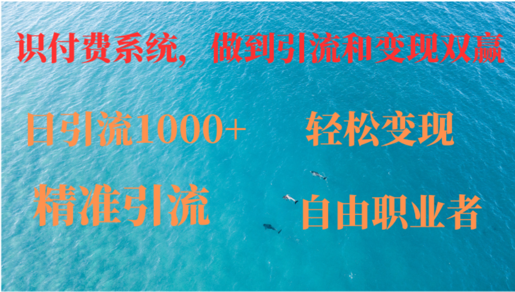 如何搭建自己的知识付费系统，做到引流和变现双赢-纵横项目网
