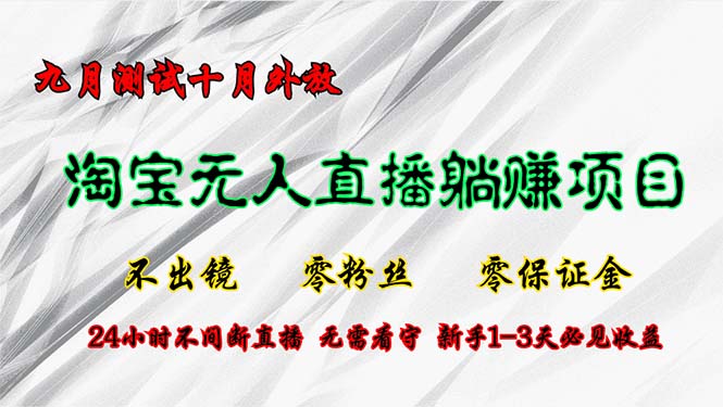 （12862期）淘宝无人直播最新玩法，九月测试十月外放，不出镜零粉丝零保证金，24小…-纵横项目网
