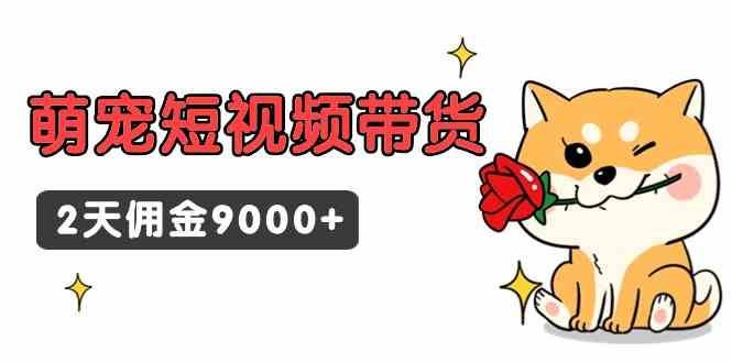 （9273期）东哲日记·萌宠短视频带货，2天佣金9000+-纵横项目网