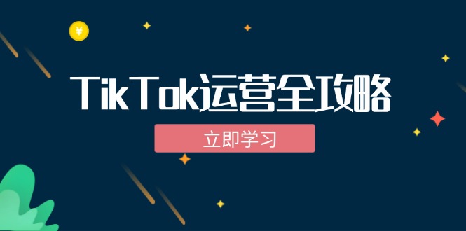 TikTok实战运营全攻略：从下载软件到变现，抖音海外版实操教程-纵横项目网