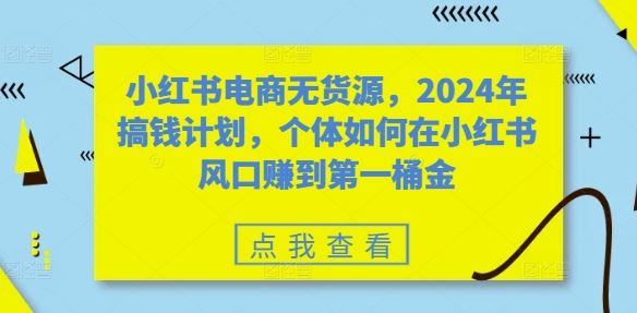 小红书电商无货源，2024年搞钱计划，个体如何在小红书风口赚到第一桶金-纵横项目网