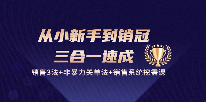 从小新手到销冠三合一速成：销售3法+非暴力关单法+销售系统挖需课 (27节)-纵横项目网